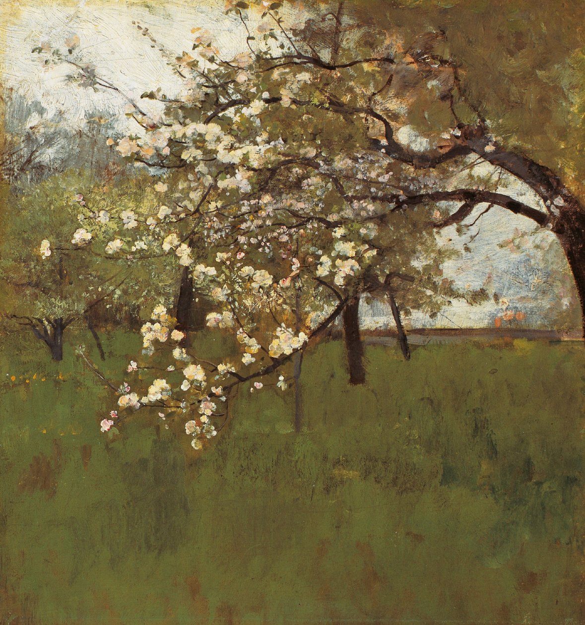Pommier en fleurs (huile sur toile) - Johann Sperl