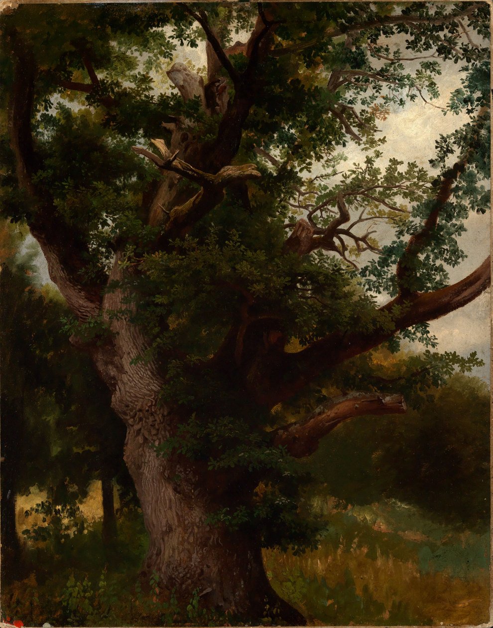 chêne de calibrage - Johann Wilhelm Schirmer