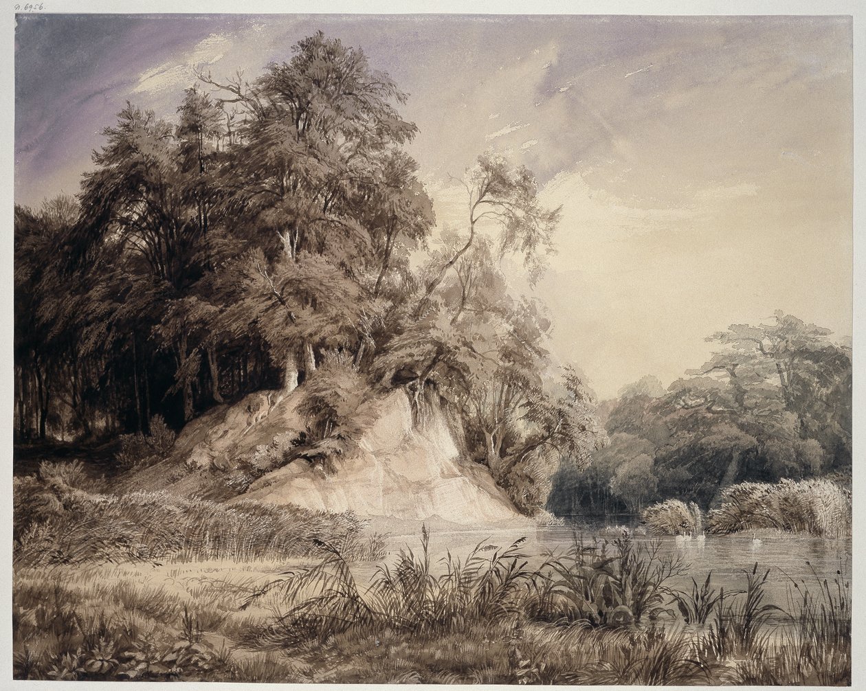 Paysage forestier avec lac et cygnes - Johann Wilhelm Schirmer