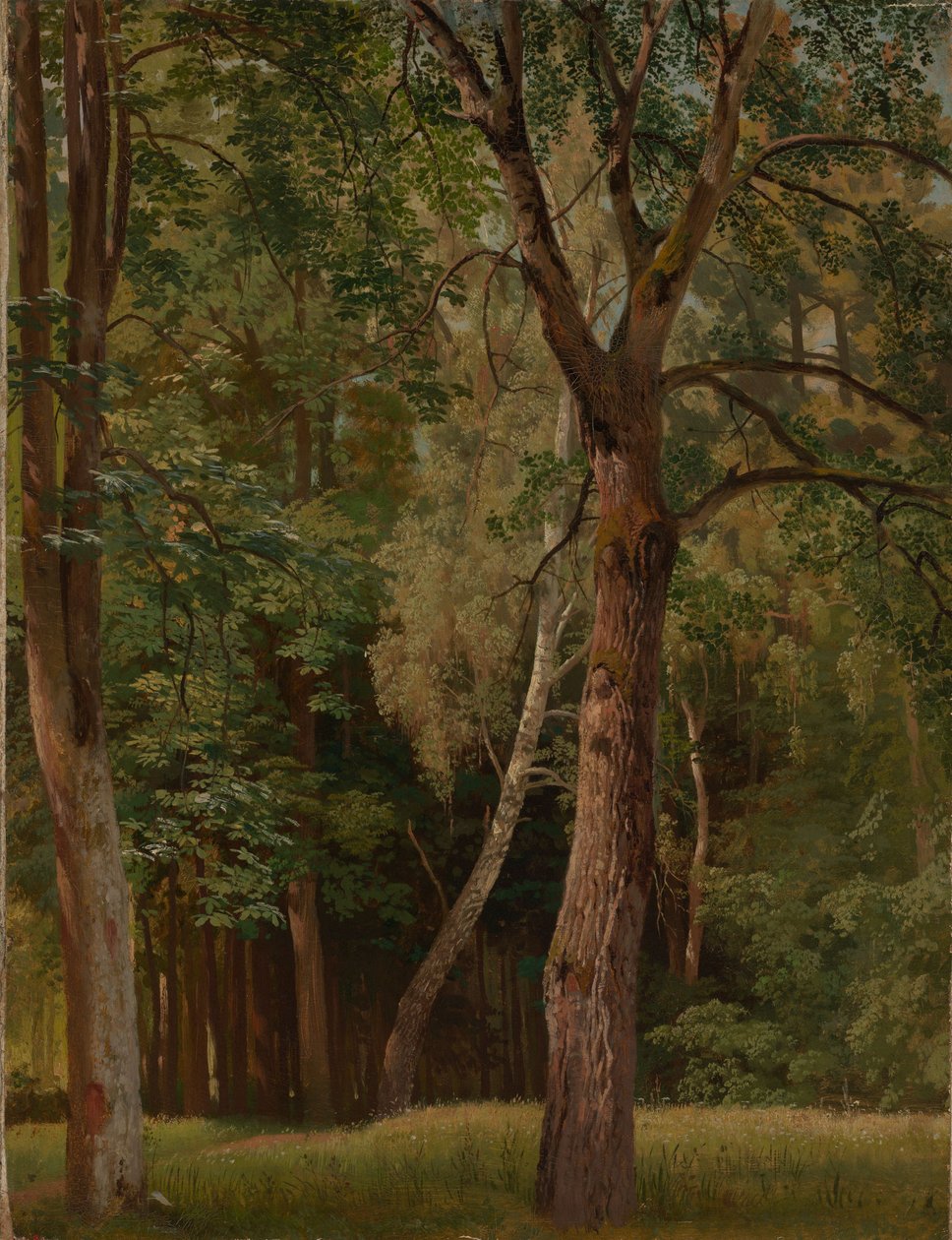 Forêt de feuillus avec châtaigniers et bouleaux - Johann Wilhelm Schirmer