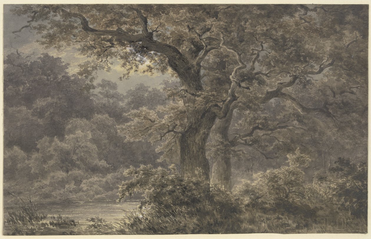 Les chênes de la forêt - Johann Wilhelm Schirmer