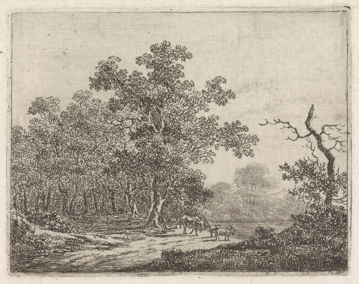 Paysage avec chêne et bétail - Johannes Christiaan Janson