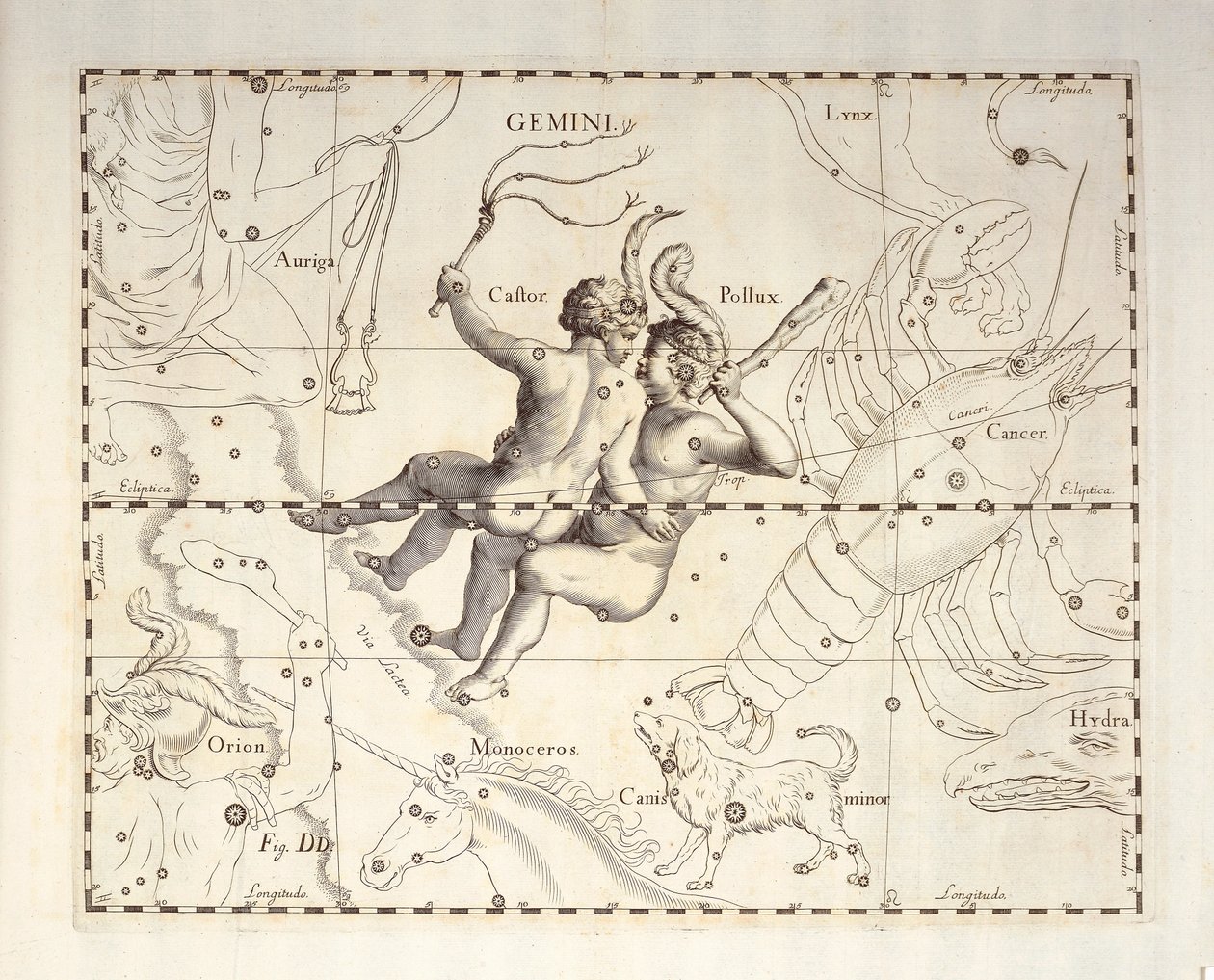 Constellation des Gémeaux, gravure de l