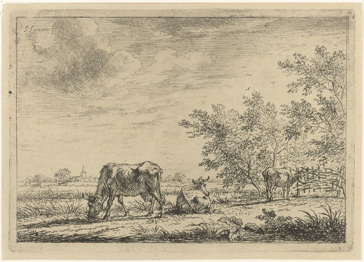 Trois vaches dans un pré - Johannes Janson
