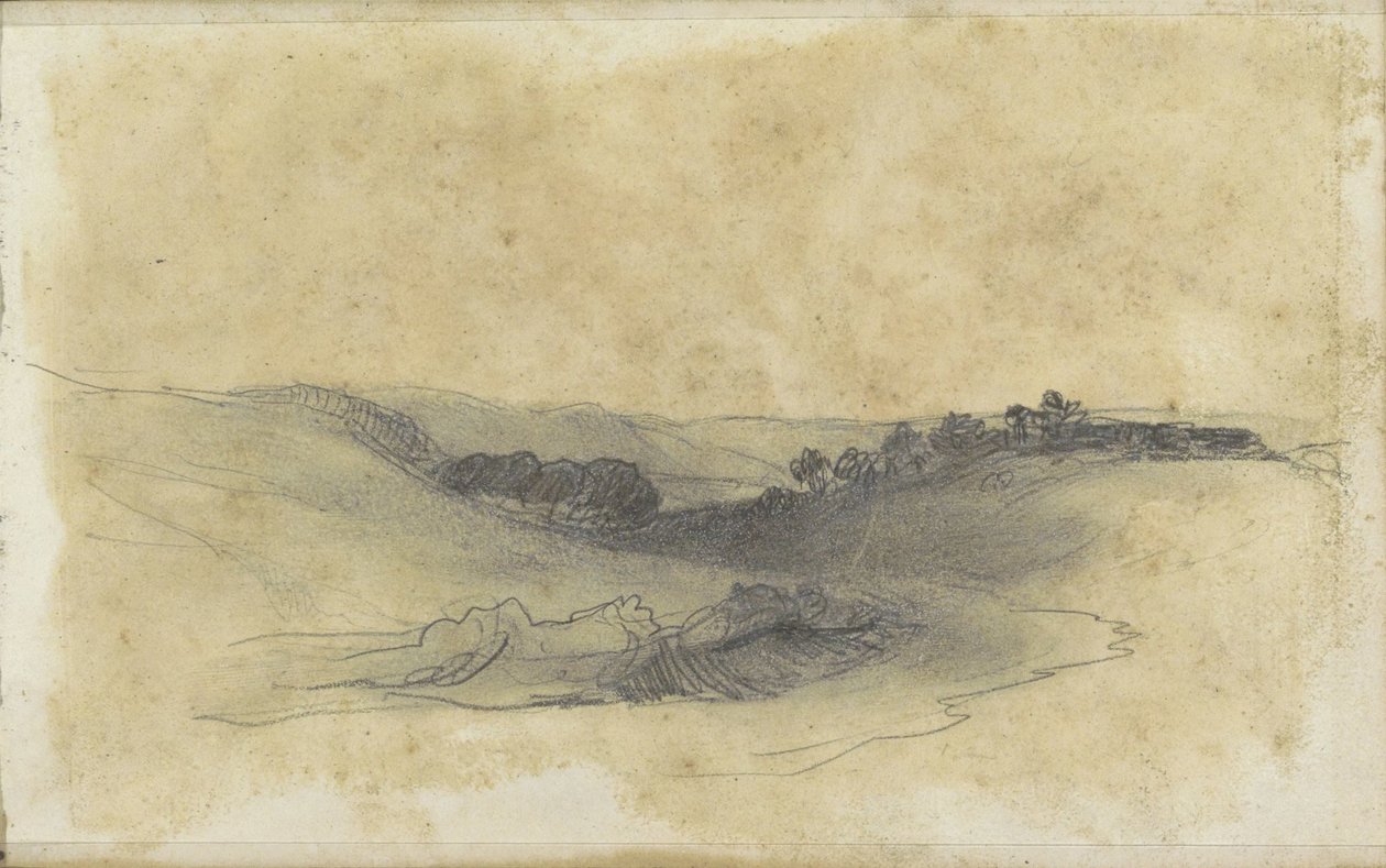 Paysage vallonné avec arbres - Johannes Tavenraat