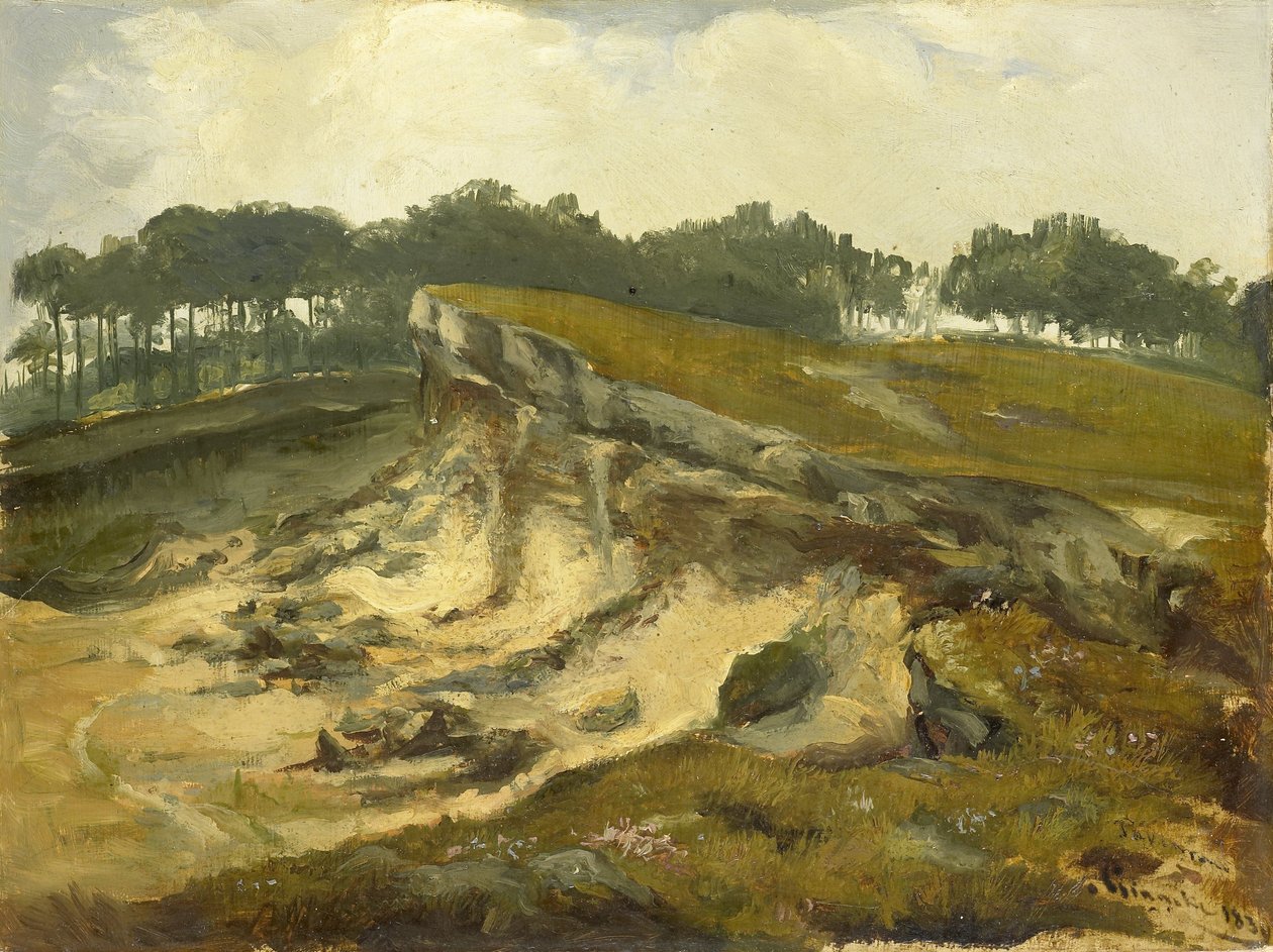 Excavation de sable - Johannes Tavenraat
