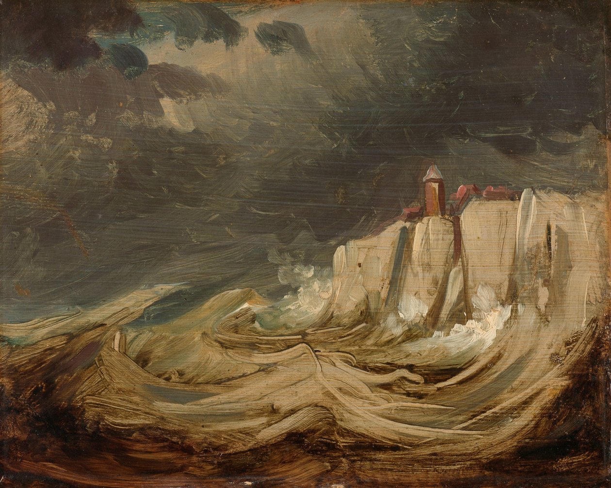 Tempêtes sur la côte - Johannes Tavenraat