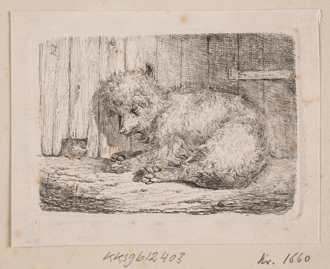 Un chien à poil long - Johannes Wilhelm Zillen