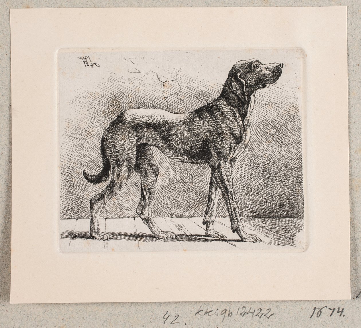 Un chien debout - Johannes Wilhelm Zillen