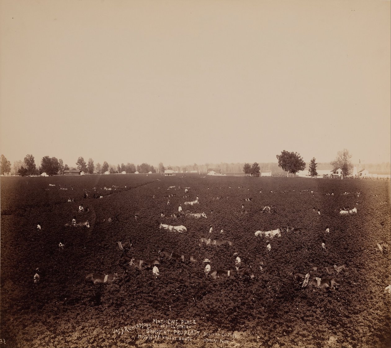Mathews Place, Lobdel Station, propriété de Jas. S. Richardson, Bolivar Co., Miss., vallée du Mississippi - John Horgan Jr.