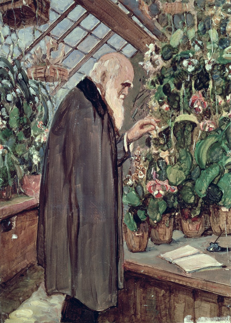 Charles Robert Darwin - John Collier