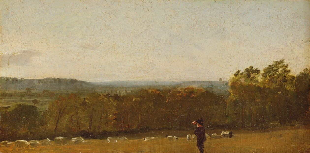 Un berger dans un paysage regardant à travers Dedham Vale vers Langham, c.1810 - John Constable