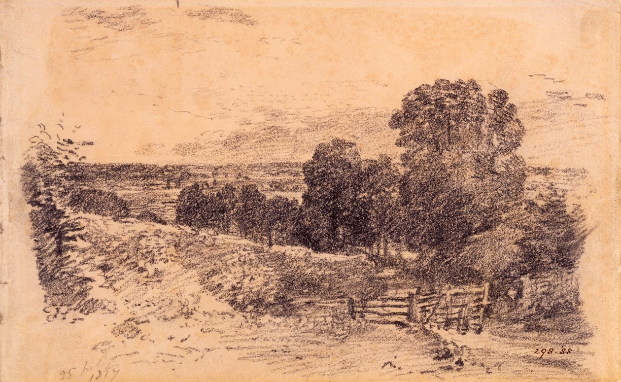 Un chemin près d