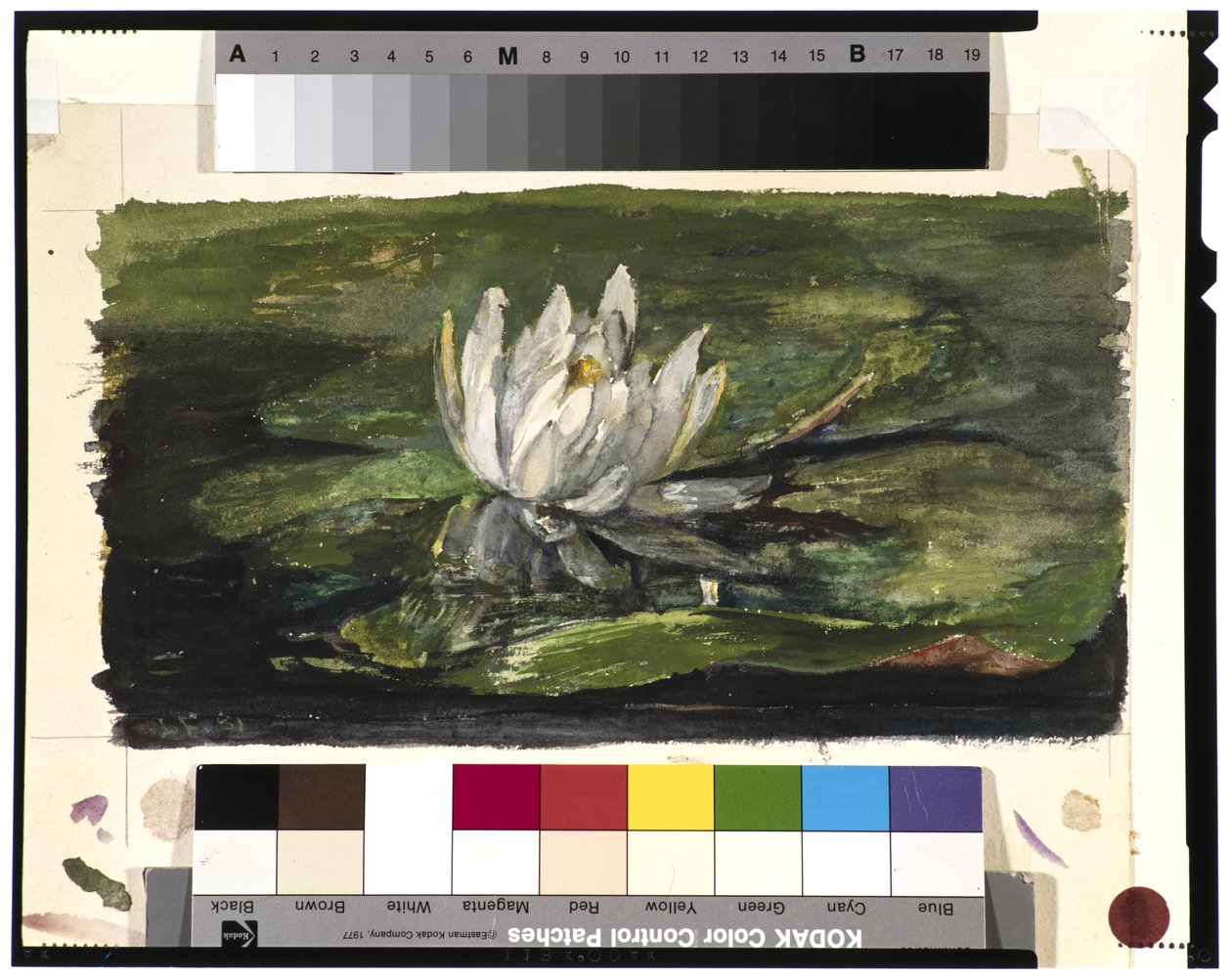 Nénuphar au soleil, 1881 - John La Farge or Lafarge