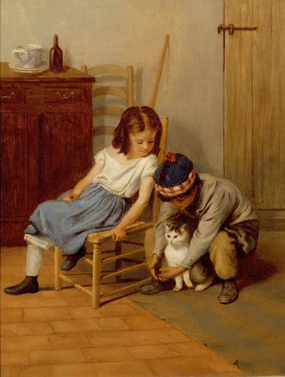 Jouer avec le chaton - John Morgan