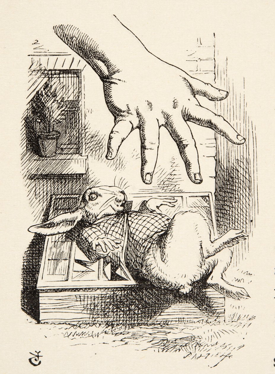 Alice laisse tomber le Lapin Blanc, Les Aventures d