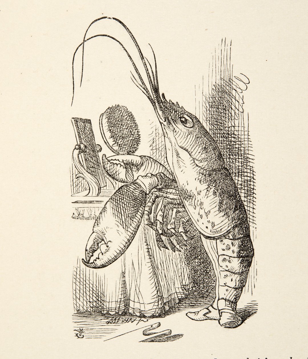 La Voix du homard, Les Aventures d