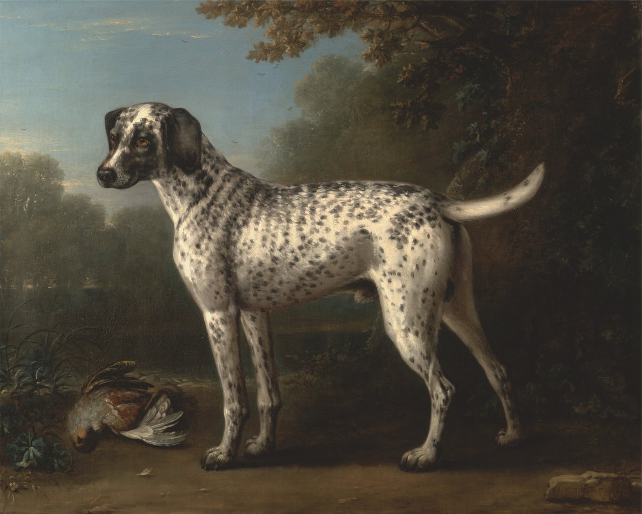 Un chien gris tacheté - John Wootton