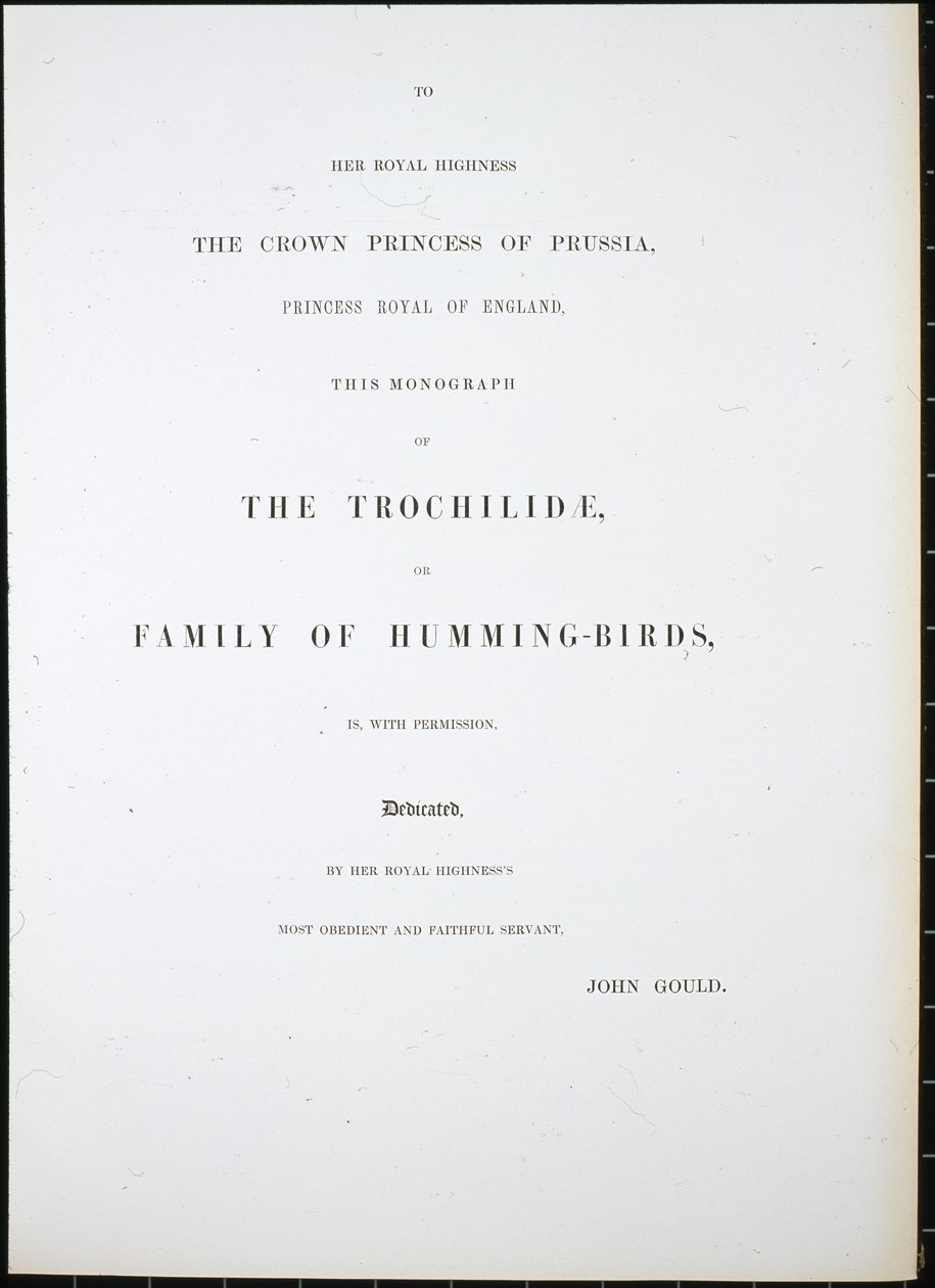 Frontispice - John (after) Gould