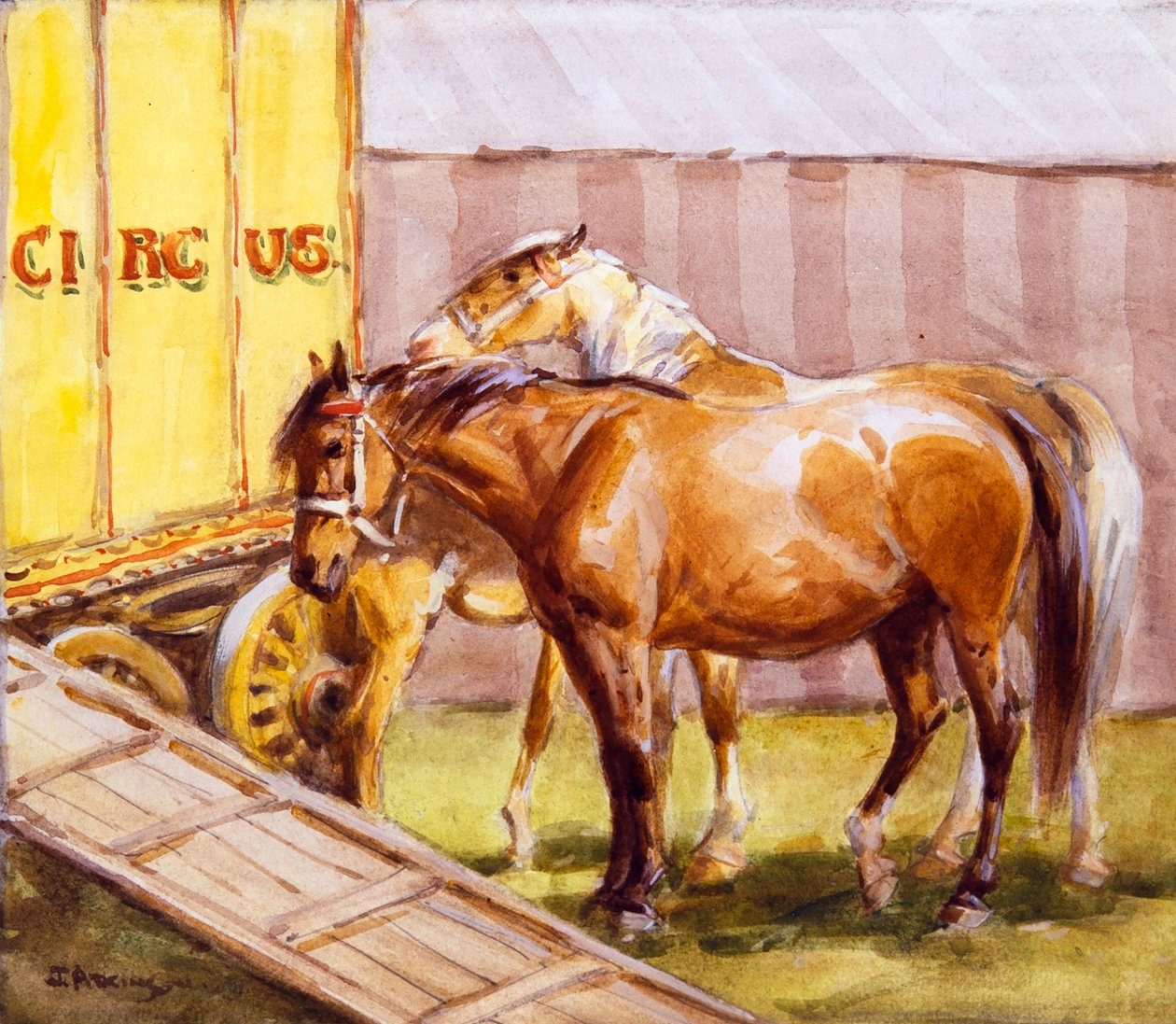 Chevaux de cirque - John Atkinson