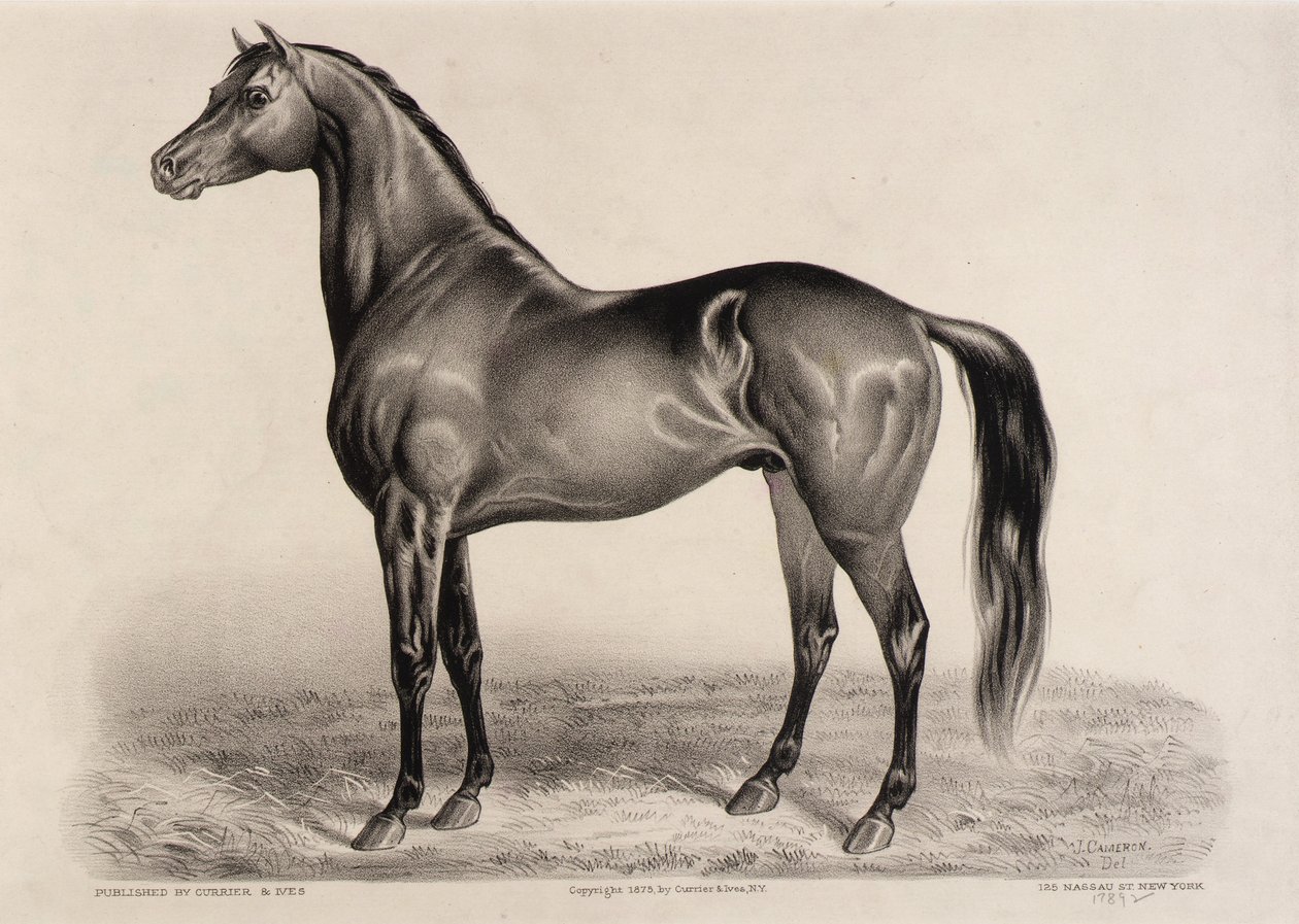 Redpath - John Cameron