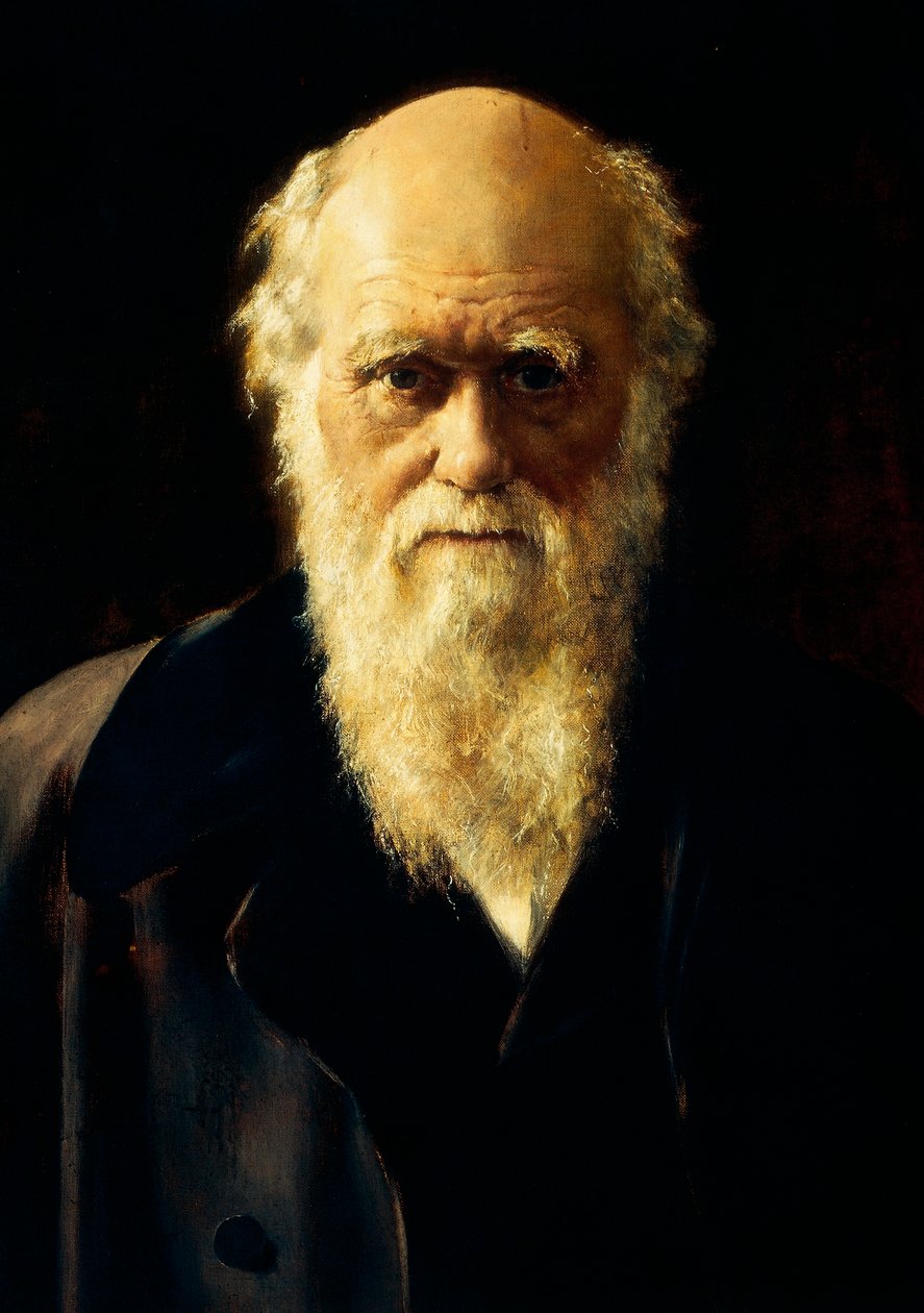 Portrait de Charles Darwin - John Collier