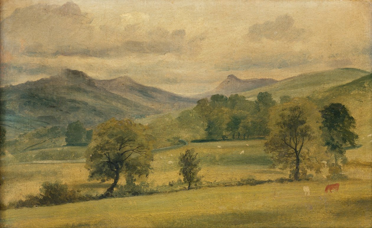 Vue dans le District des Lacs - John Constable