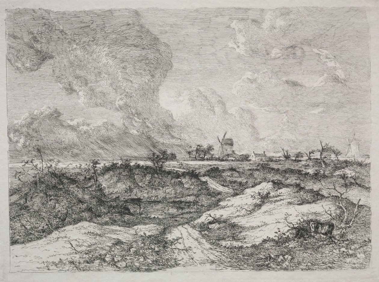 Mousehold Heath - John Crome