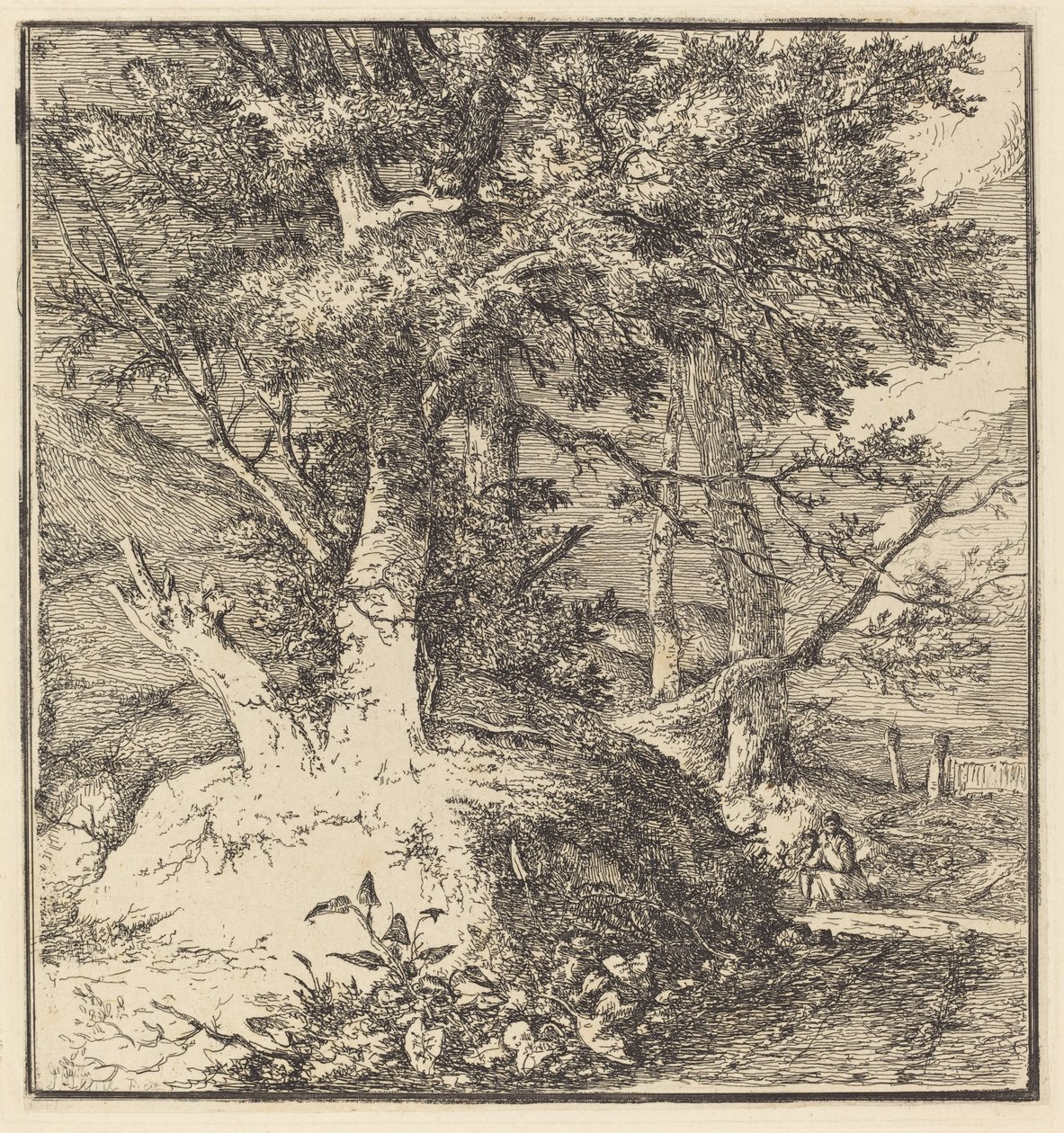 Arbre sur un monticule - John Crome