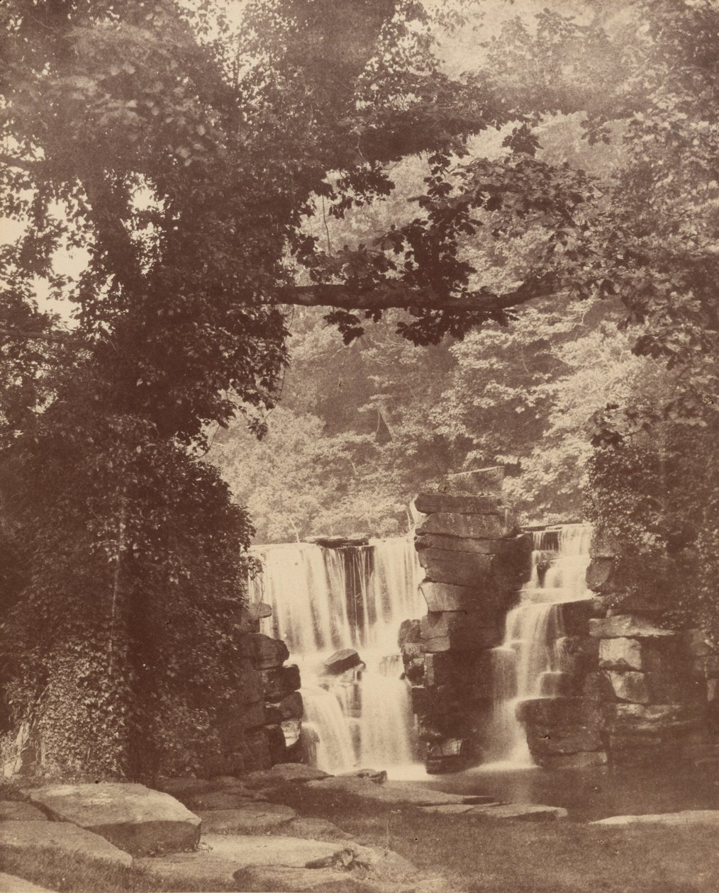 Les chutes supérieures, bois de la vallée de Penllergare, c. 1852 (photo) - John Dillwyn Llewelyn