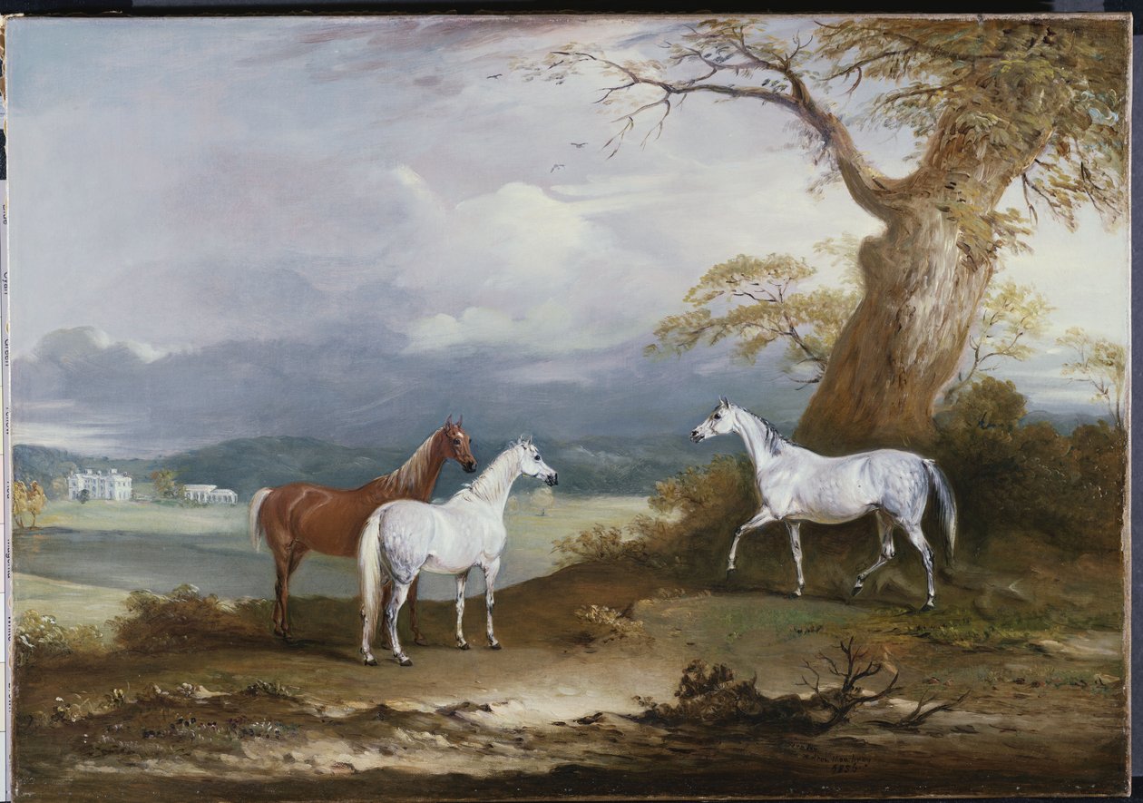 Les juments de Lord Macdonald sur les terrains de Thorpe Hall, Rudston, Yorkshire, 1836 - John E. Ferneley