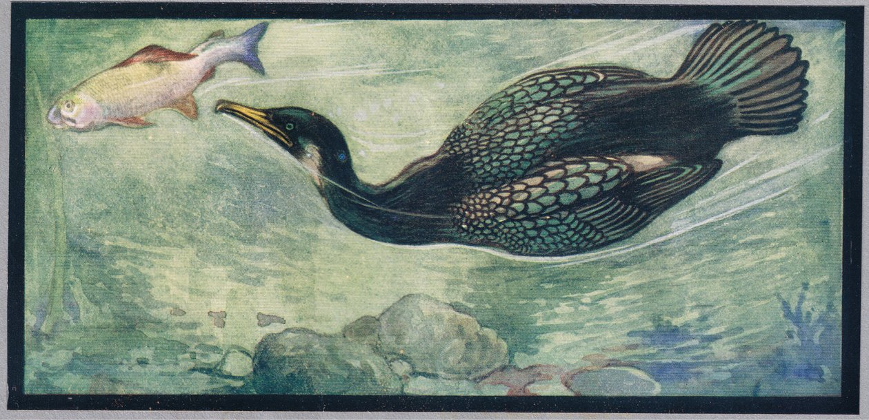 Un oiseau chassant un poisson, illustration de 