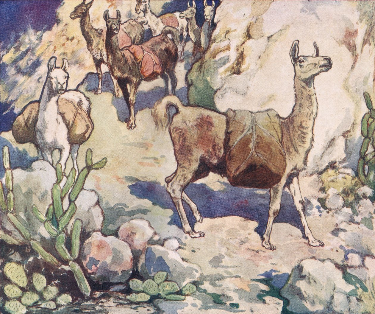 Alpagas sur un chemin de montagne, illustration de 