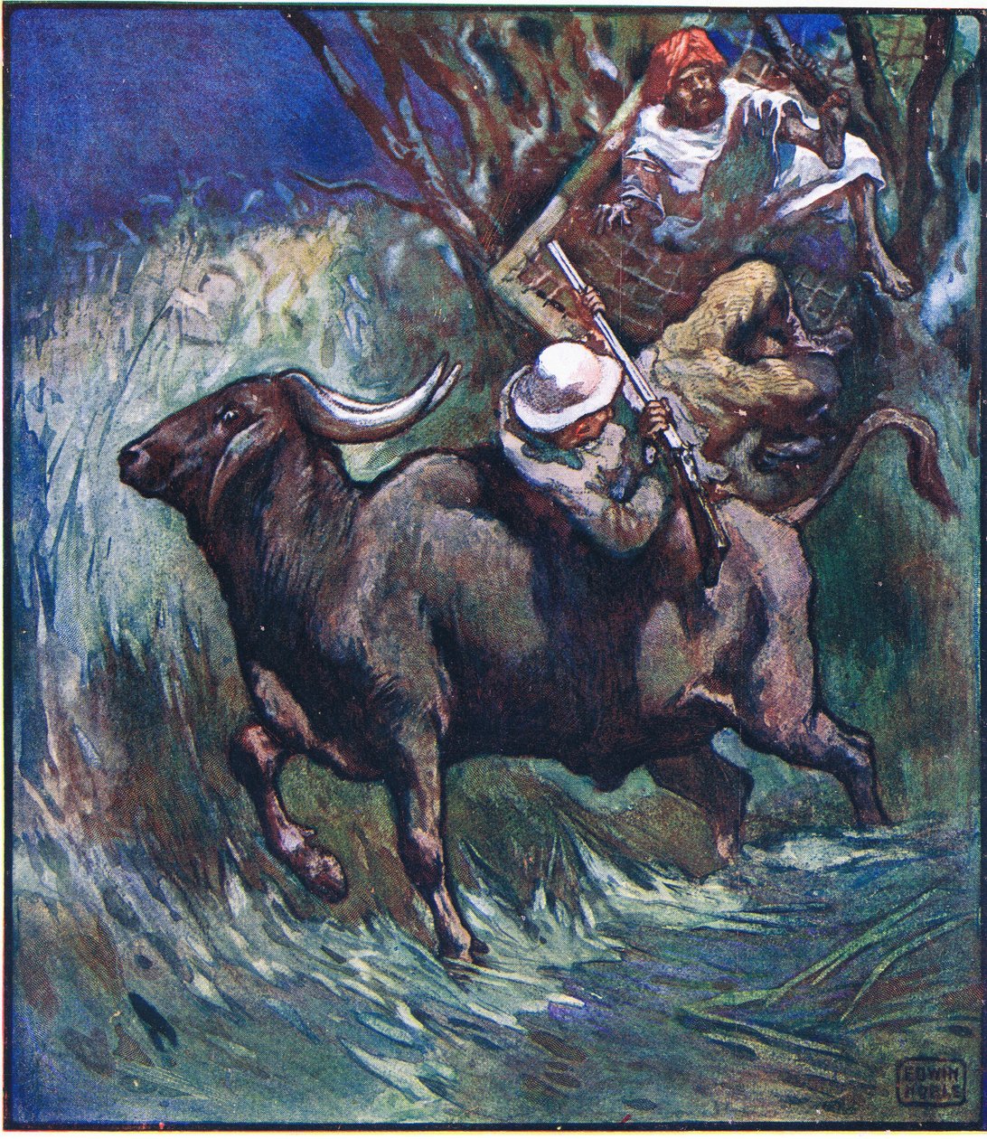 À ce moment-là, les branches cédèrent avec un grand fracas - John Edwin Noble
