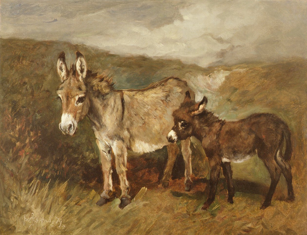 Ânes sur la lande, c.1890 - John Emms