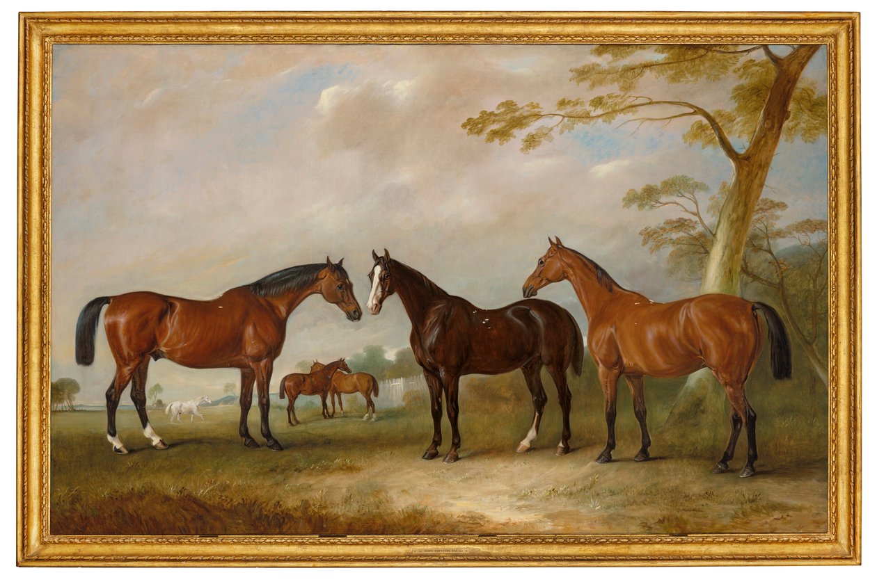 Intrepid, Conqueror et Bay Bolton avec Silkman et Darnley au-delà dans un paysage - John Ferneley