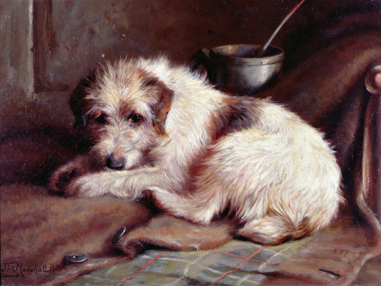En attendant le maître - John Fitz Marshall