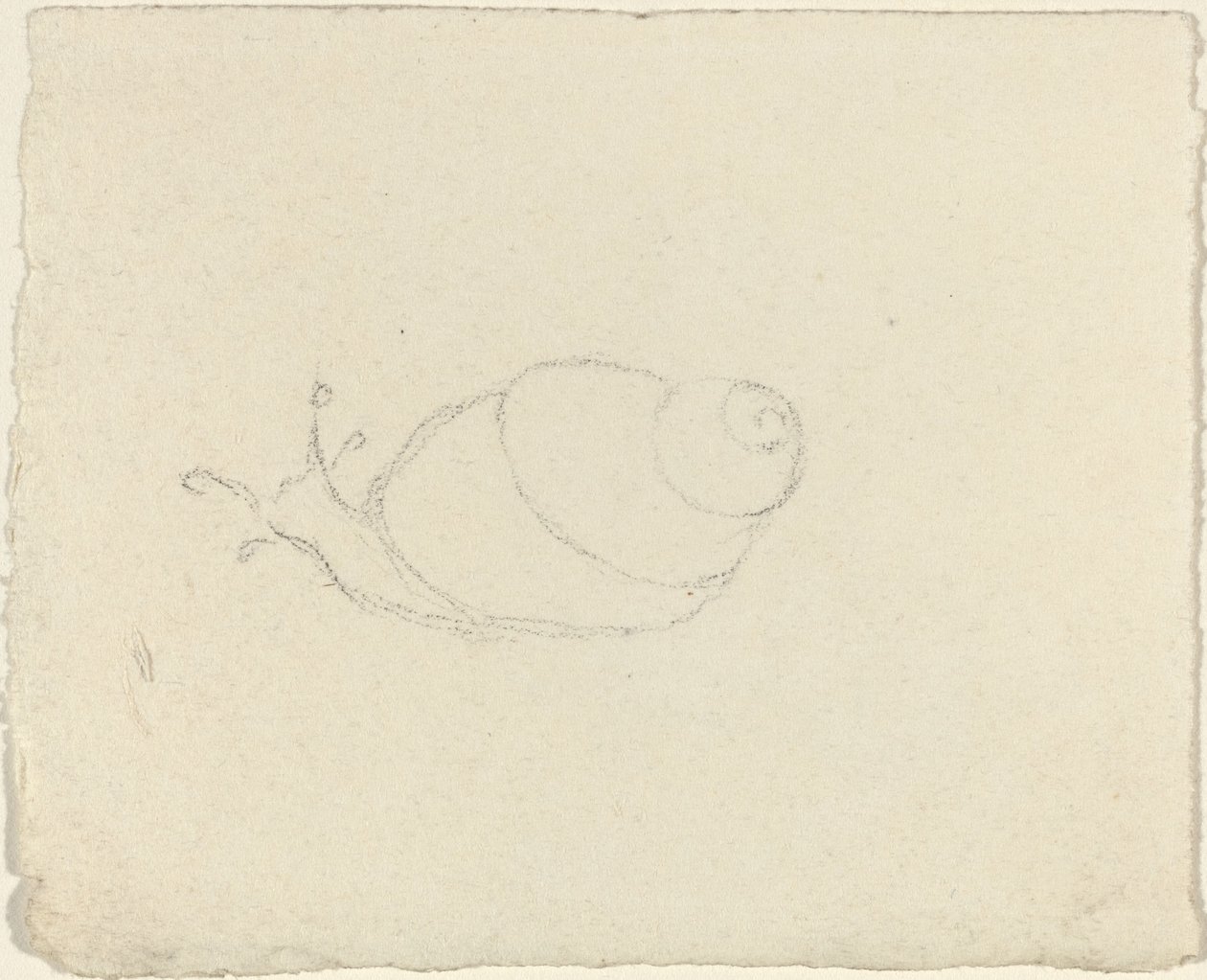 Escargots [recto et verso] - John Flaxman