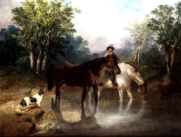 Deux chevaux, un homme et un chien près d
