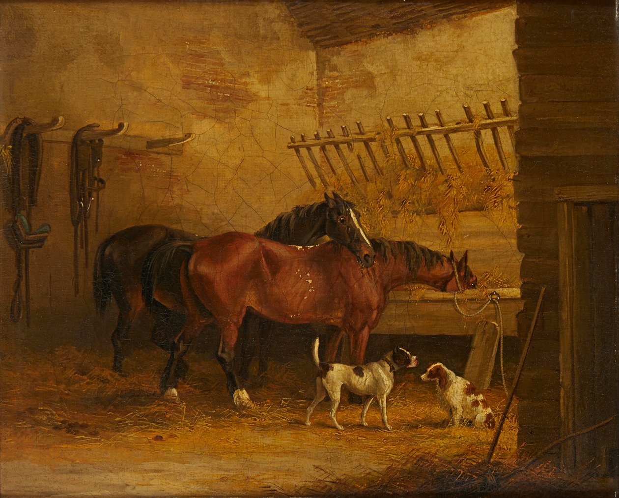 Chevaux et chiens dans un intérieur d
