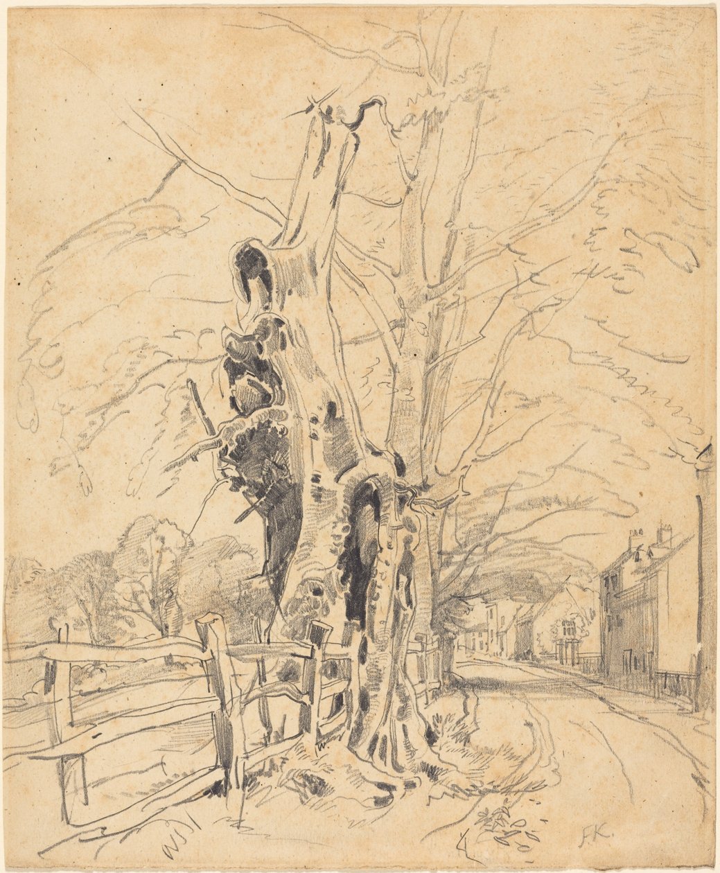 Arbres près d