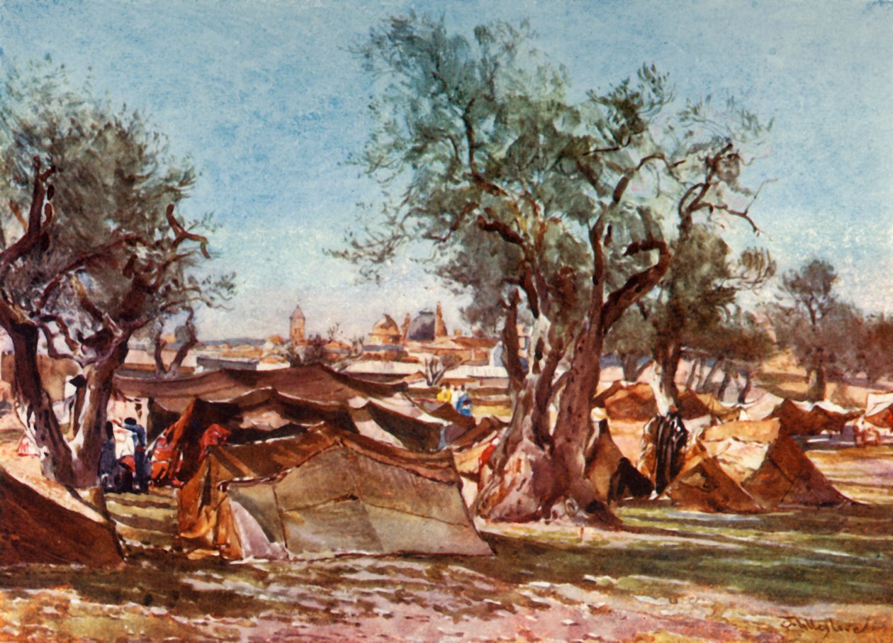 Campement bédouin à l