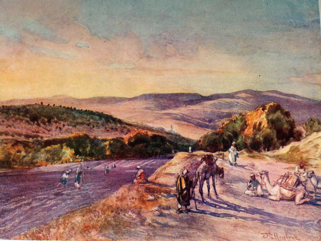 Site de l