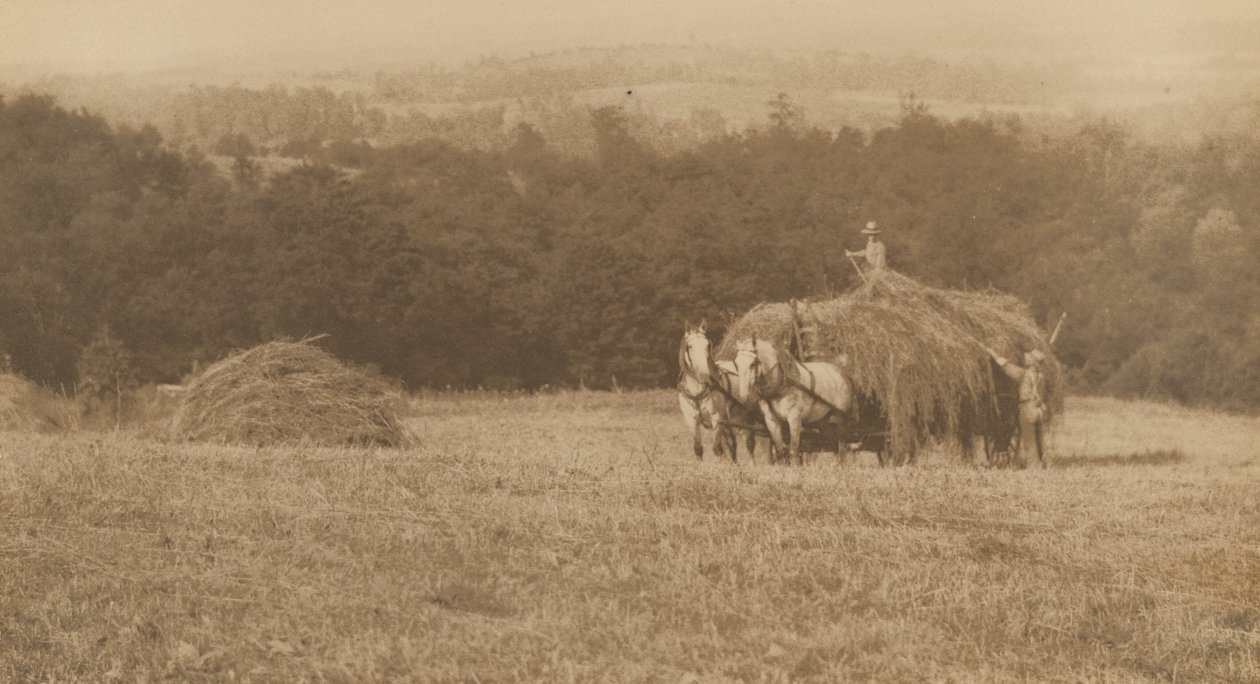 Chargement du foin,1890-1900 (photo) - John G. Bullock