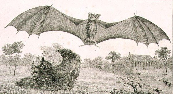 Le vampire ou spectre de la Guyane - John Gabriel (after) Stedman