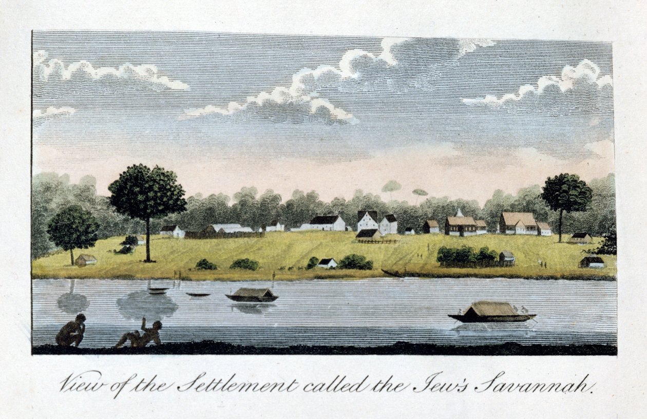Vue de la colonie appelée la Savannah des Juifs, 1813 - John Gabriel Stedman