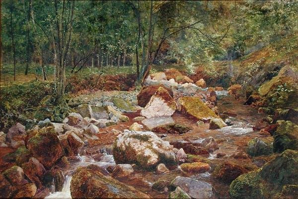 Un ruisseau rocheux surplombé d