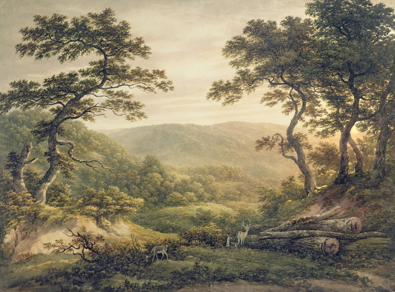 Forêt de Needlewood, Hampshire - John Glover
