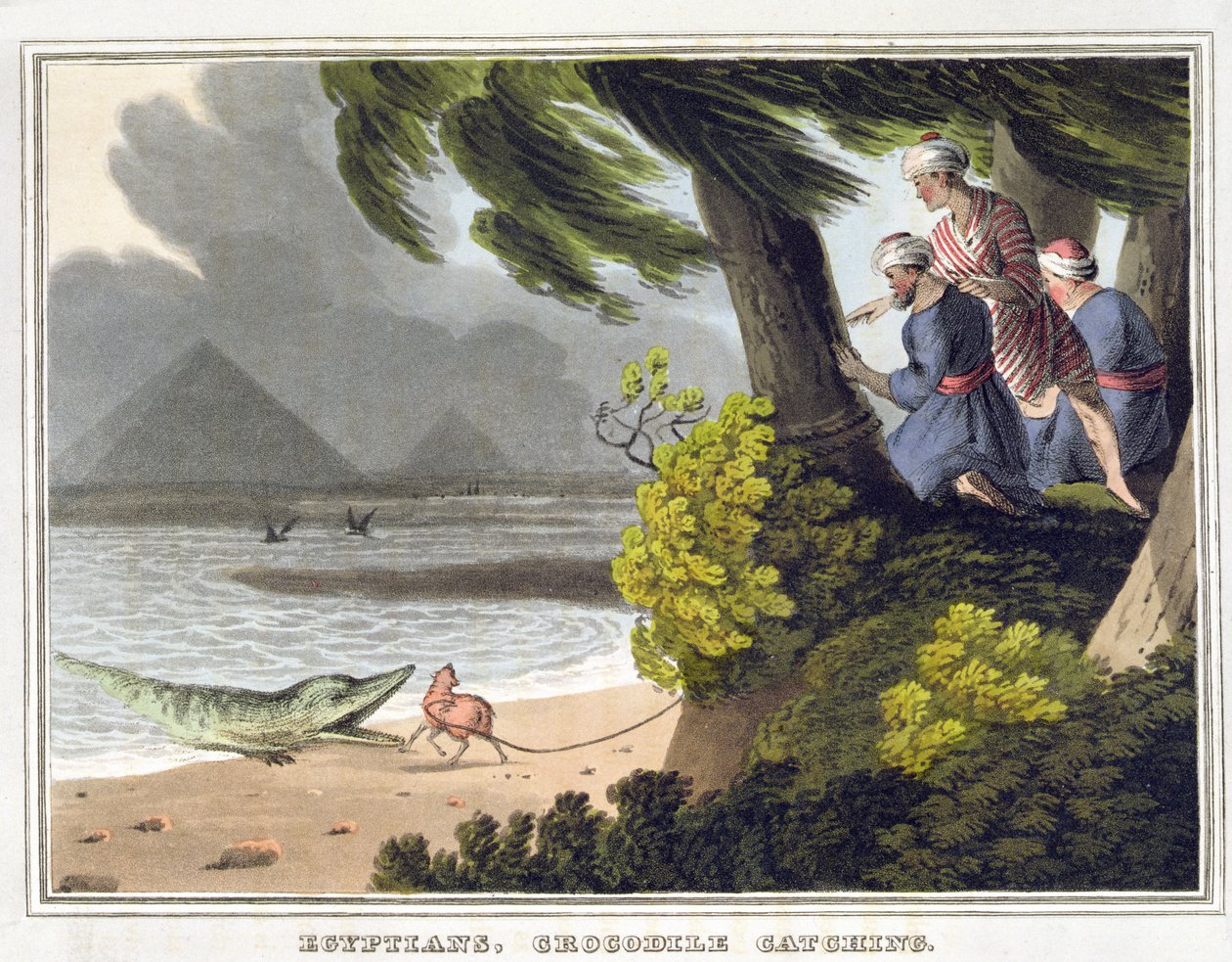 Capture de crocodiles par les Égyptiens, gravée par Matthew Dubourg (fl.1785-1820), publiée par Edward Orme - John Heaviside (after) Clark