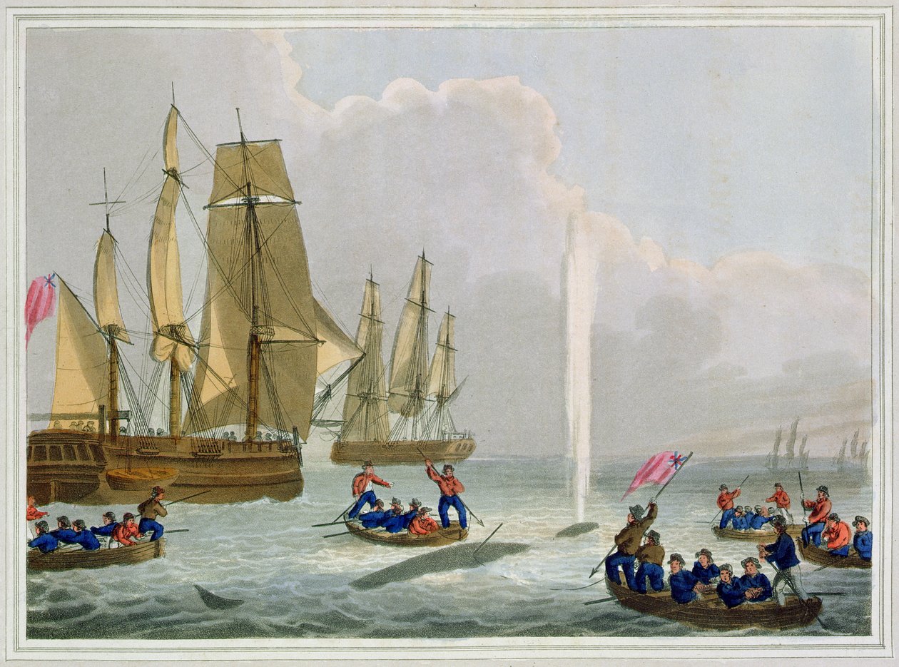 Bateaux approchant une baleine, gravé par Matthew Dubourg, publié par Edward Orme - John Heaviside Clark